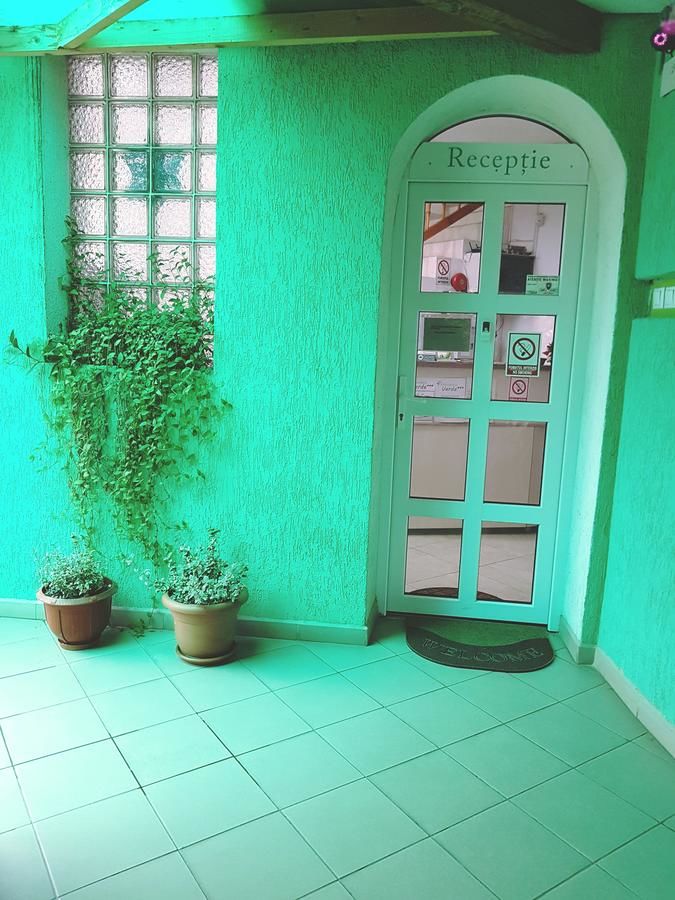 Гостевой дом Pensiunea Verde Клуж-Напока-8